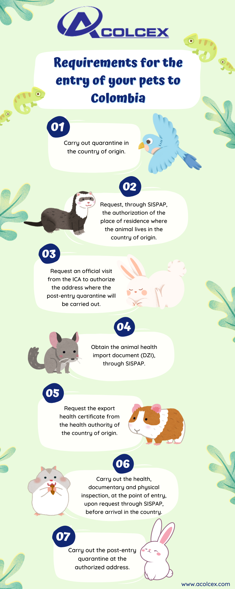Requirements for the entry of your pets to Colombia ACOLCEX